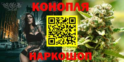 spice Обь