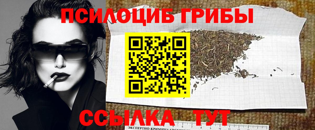 Мытищи  Галлюциногенные грибы Psilocybe  Вход с VPN 