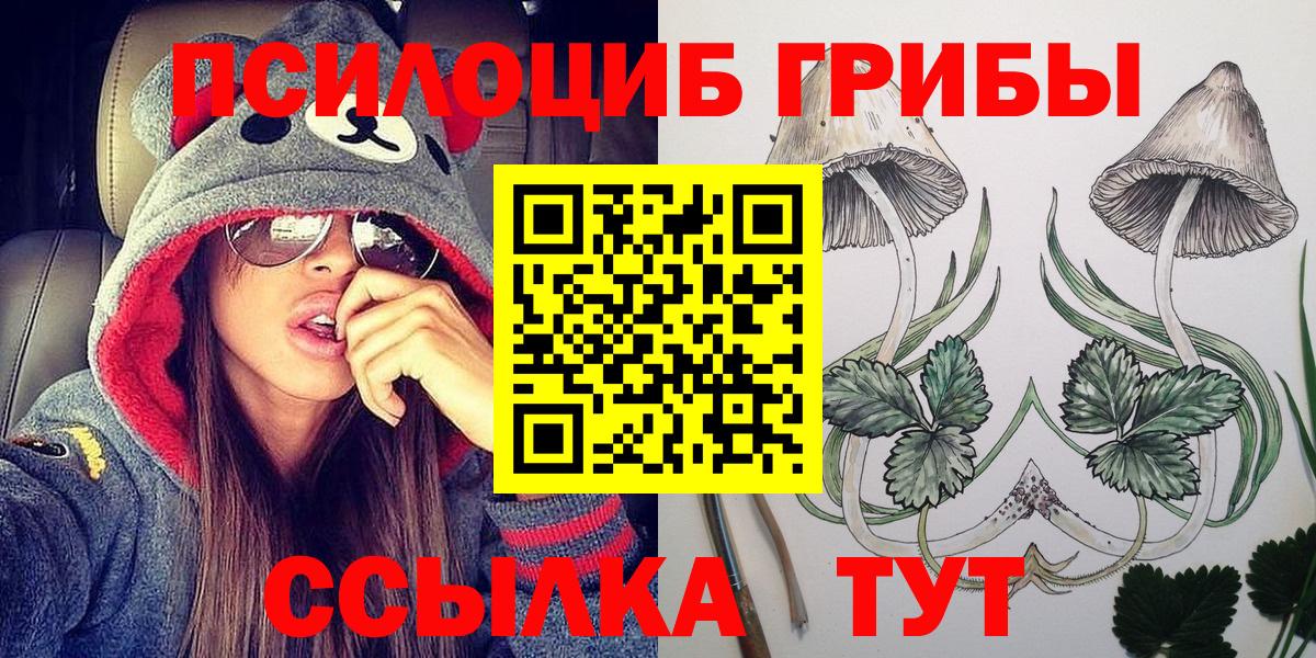 Галлюциногенные грибы Psilocybine cubensis Мытищи